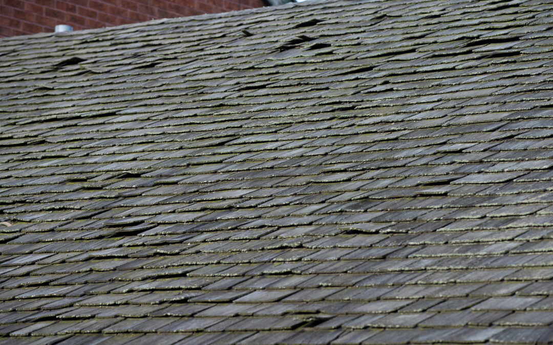 Signs It’s Time for a Roof Replacement: Protecting Your Investment